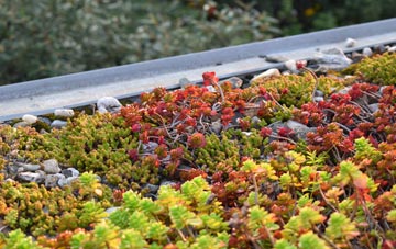 the cost of Headwood green roof installation