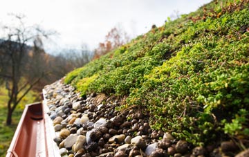 green roofing