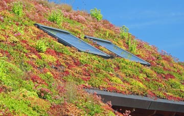 Headwood living roof systems