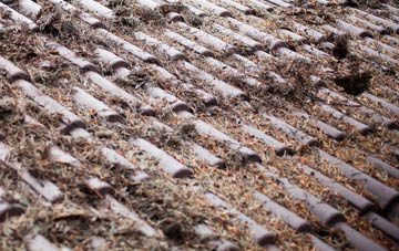 Headwood roof cleaning companies